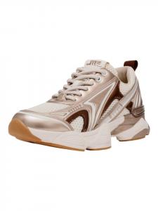 Кроссовки на шнуровке Steve Madden, цвет weiß/gold