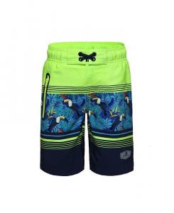 Быстросохнущие эластичные шорты для мальчиков, плавки-шорты с сетчатой подкладкой UPF50+ для мальчиков Rokka&Rolla, зеленый