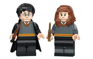 Конструктор Harry Potter Collection с персонажами Гарри Поттер и Гермиона Грейнджер, набор 76393 LEGO