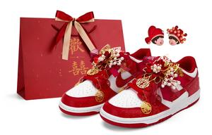 Nike Кроссовки для скейтбординга unisex низкие красные с технологией Dunk Cushioning и износостойкие