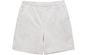 Повседневные шорты мужские светло-серые The North Face, серый