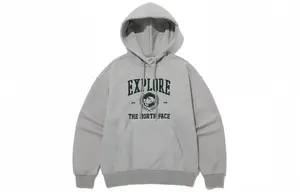 Толстовка мужская серая The North Face, серый