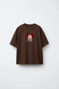 Capybara capyfun футболка с флокированием Zara, коричневый