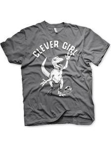 Футболка серого цвета Jurassic Park