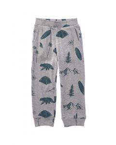 Брюки-джоггеры Chaser Camper Dream Chaser, серый