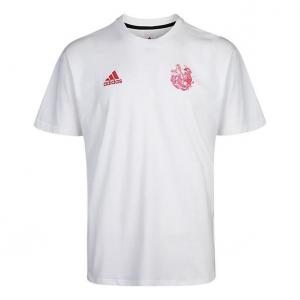 Футболка adidas CAPTSUBA Tee GK3443