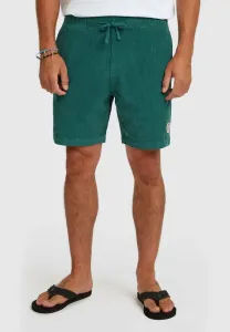 Оригинальные шорты O'Neill, Botanical Heat