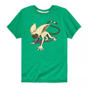 Футболка «Аватар: Повелитель воздуха Момо» для мальчиков 8–20 лет Licensed Character