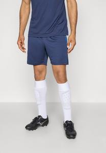 Спортивные шорты Kappa Sports shorts, Blue Marine/Blue/Dark Blue