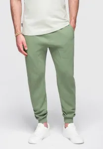 Спортивные штаны Ombre, Green