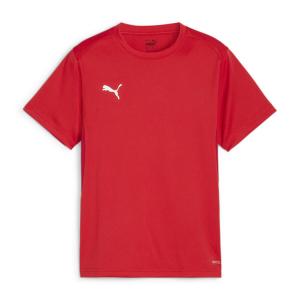 Детская футболка Puma teamGOAL Jersey Jr 658637