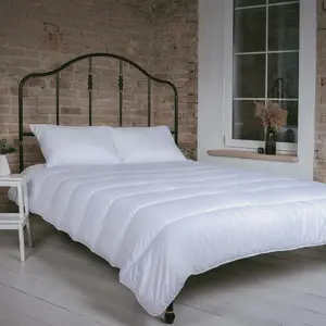 Одеяло FAM Home Duvet 155x200 из мягкого микрофибрового одеяла - антиаллергенное одеяло для людей, страдающих аллергией Interscalit