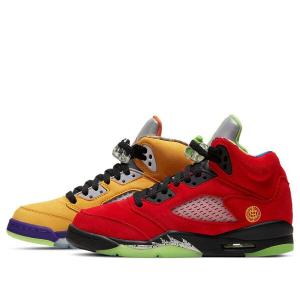 Кроссовки 5 retro se 'what the' Air Jordan, мультиколор