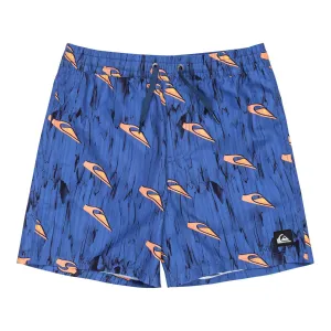 Плавки-шорты Quiksilver Next Gen 14" для мальчиков, синий