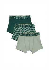 Боксерские шорты blue ridge We Fashion, Green Blue