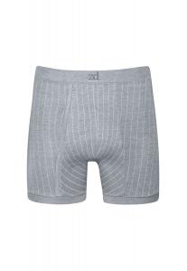 Боксеры ZD ZERO DEFECTS Boxer Helios Diplomatic, серый