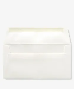 25 обычных конвертов формата А4