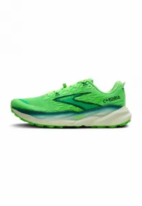 Кроссовки для трейлраннинга cascadia 19 Brooks, Gecko Atlantic Green/Bluewash