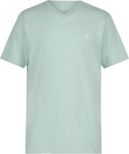 Футболка Calvin Klein для мальчиков с короткими рукавами и V-образным вырезом, мягкая, удобная, свободного кроя., Light Sage