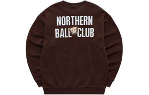 Футболка мужская Rain Goose коричневая FILA FUSION