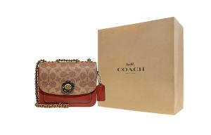 COACH Маленькая квадратная сумка через плечо из телячьей кожи с аппликацией