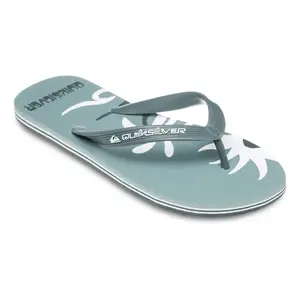 Мужские шлепанцы Quiksilver Molokai Screen, светло-зеленый