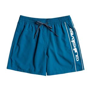 Мужские плавки Quiksilver Everyday Vert Volley 16 дюймов