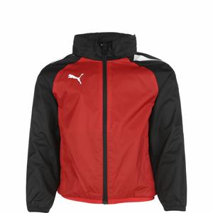 Спортивная куртка PUMA TeamLiga, красный