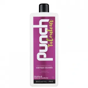 Шампунь Duc Punch Your Color 1 л Ducastel
