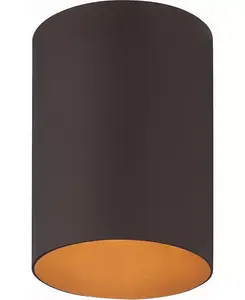 1-Ламповый потолочный светильник с цилиндрическим креплением Volume Lighting, bronze