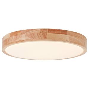 Светодиодный потолочный светильник Brilliant Slimline, акриловое стекло / железо - 1 пламя