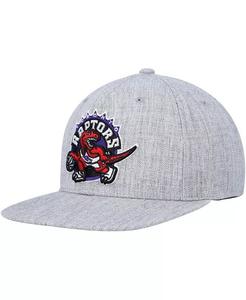 Мужская кепка-кнопка Toronto Raptors Hardwood Classics 2.0 цвета «серый меланж» Mitchell & Ness