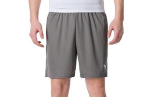 Повседневные шорты мужские серые Puma, серый