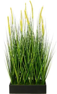 И.ГЕ.А. Искусственное растение "Лисохвост-трава в горшке" I.GE.A. 50х120 см, зеленый