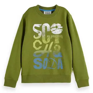 Толстовка Scotch & Soda Regular Fit Front Artwork, зеленый