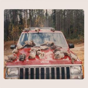 Виниловая пластинка LP Are Sing Sinck Sing - Efrim Menuck, Kevin Doria