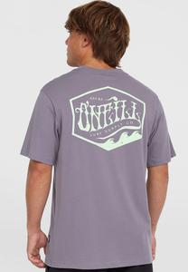 Футболка с принтом BOX LOGO O'Neill, мультиколор