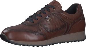 Мужские низкие кроссовки s.Oliver 5-13633-43, Dark Cognac