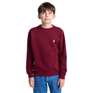 Детская толстовка Icon Embroidery Cr Y Element, бордовый