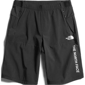 Повседневные шорты мужские черные The North Face, черный