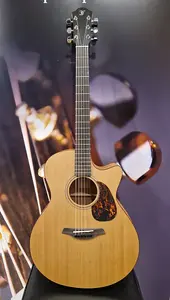 Акустическая гитара Furch Blue Gc-CM Master's Choice + L.R.Baggs Element + Deluxe сумка