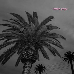 Виниловая пластинка Actual Wolf: Faded Days