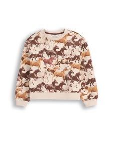 Толстовка Coccodrillo, бежевый