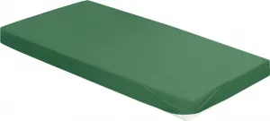 Простыня на резинке IRISETTE CLASSIC-JERSEY JUPITER 0008 мох 190 x 200 см Irisette