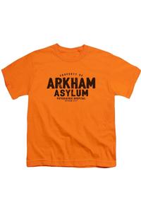 Футболка с коротким рукавом Batman Arkham Asylum для детей Gildan, оранжевый