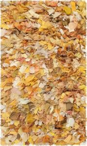 Ковер декоративный SAFAVIEH, 77 x 122 см, Rio Shag Collection, Gold & Multi, ручной работы, идеально для помещений с высокой проходимостью: прихожая, гостиная, спальня (SG951G)