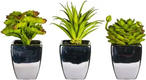 Искусственное растение Leonique "Лорин", в горшке, набор из 3 шт 7х13х7 см, зеленый