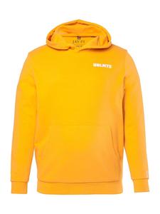 Толстовка JP1880