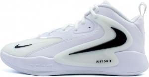 Мужские волейбольные кроссовки Nike, White | Black