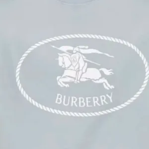 Футболка с логотипом Burberry, светло-синий